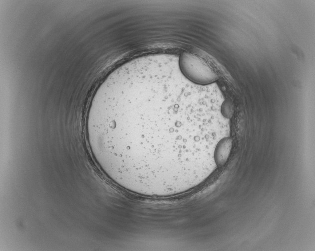 X0000115840825200912111331