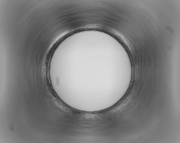 X0000115840827200912111331