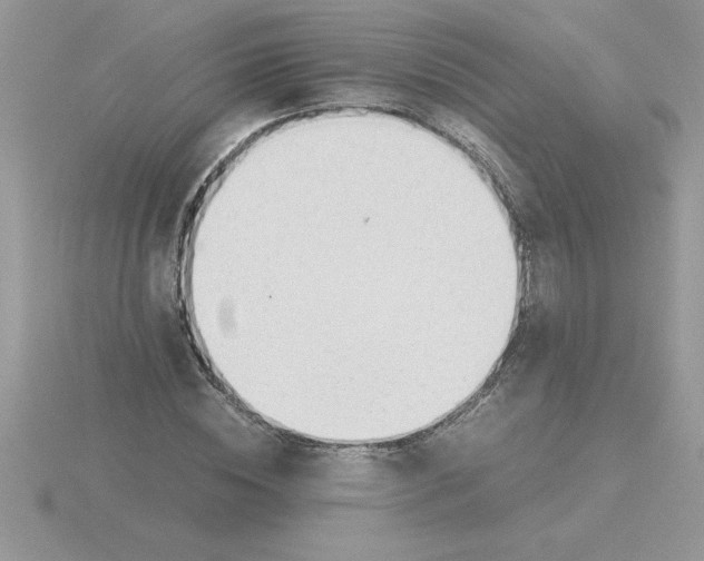 X0000115840828200912111331