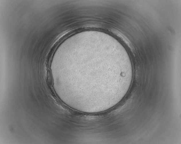 X0000115840829200912111331