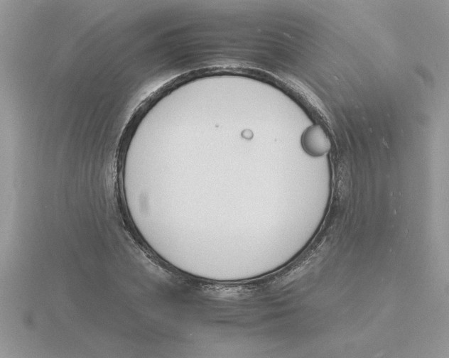 X0000115840831200912111331