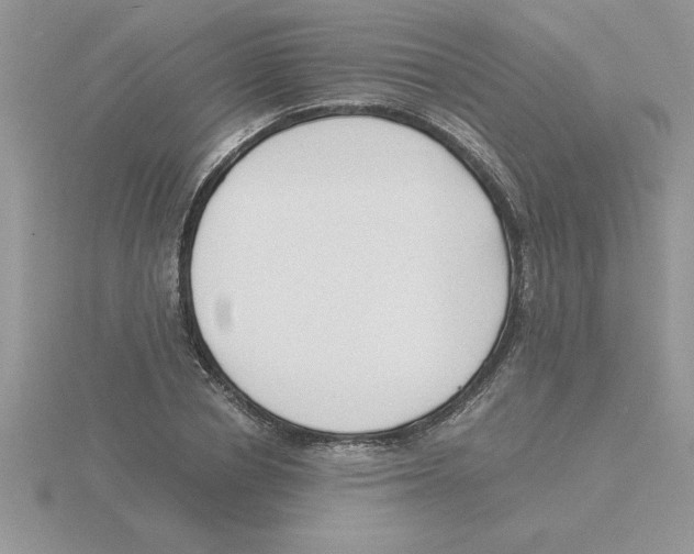 X0000115840834200912111331