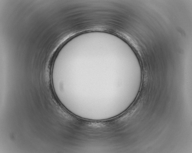 X0000115840835200912111331