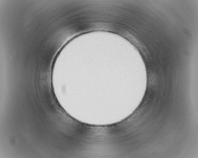 X0000115840836200912111331