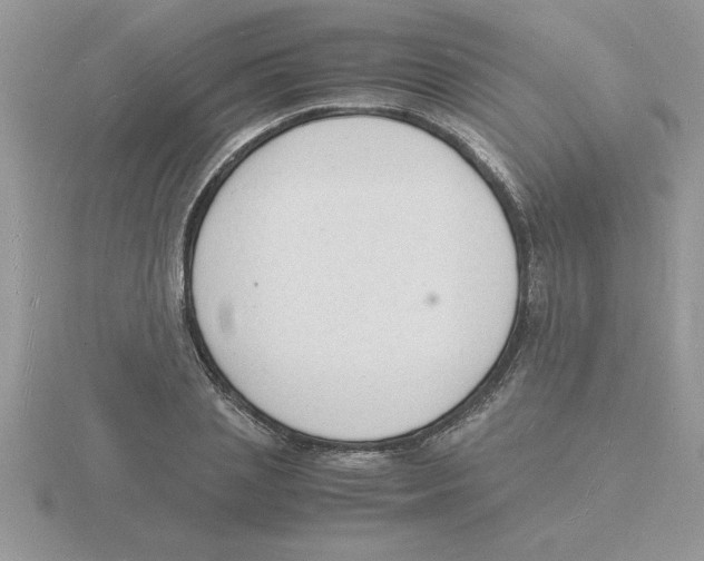 X0000115840837200912111331