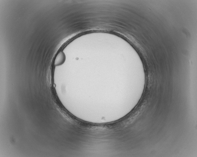 X0000115840838200912111331