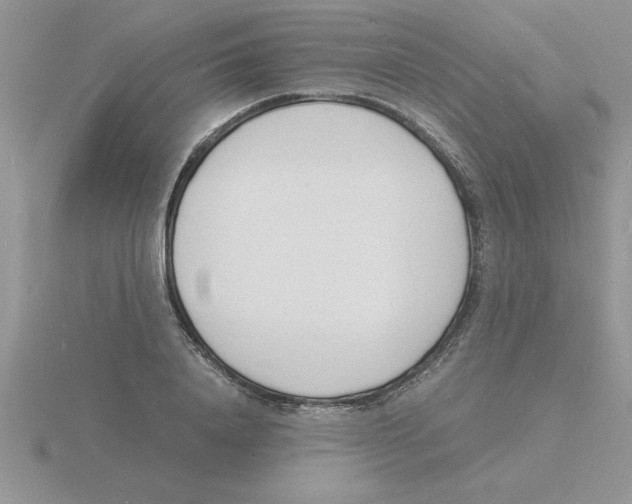 X0000115840840200912111331