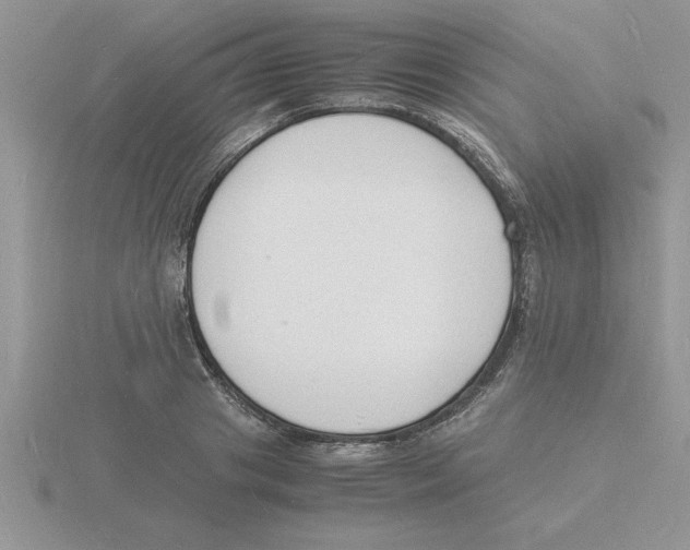 X0000115840841200912111331