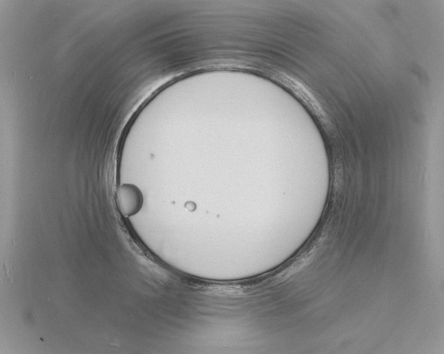 X0000115840844200912111331