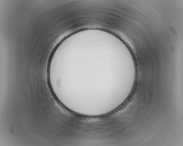 X0000115840845200912111331