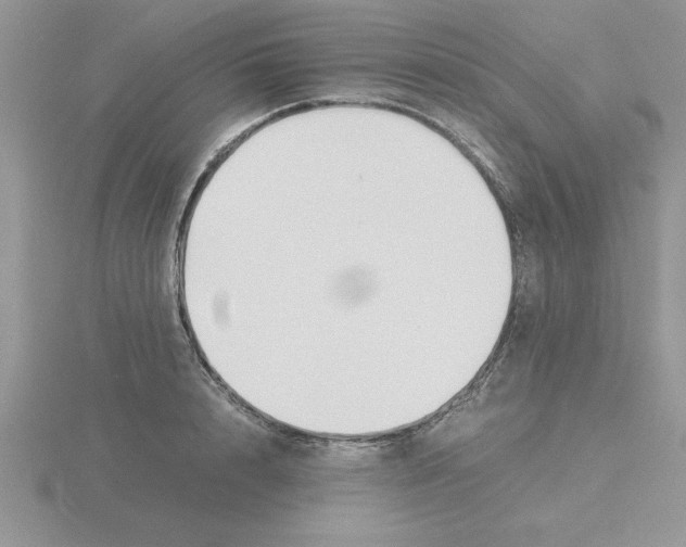 X0000115840848200912111331