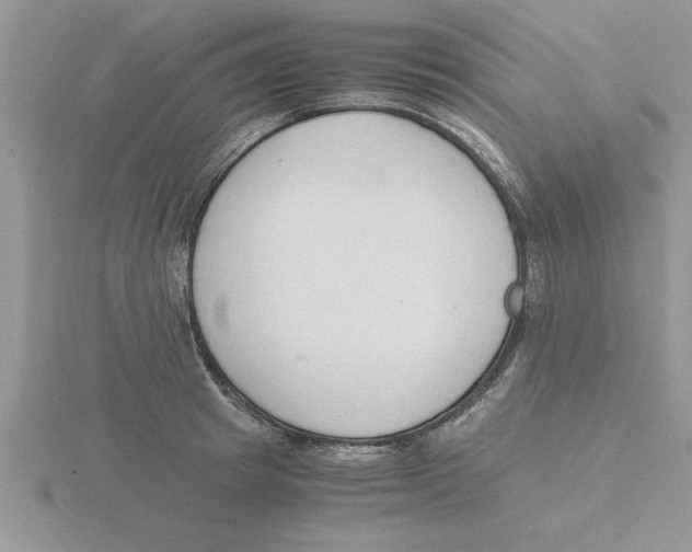 X0000115840849200912111331