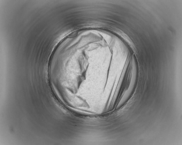 X0000115840850200912111331