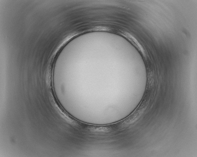 X0000115840851200912111331