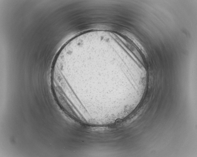 X0000115840853200912111331