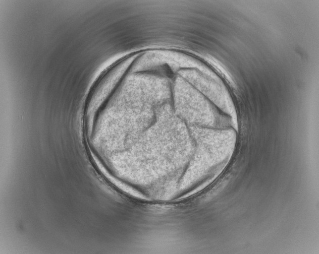 X0000115840854200912111331