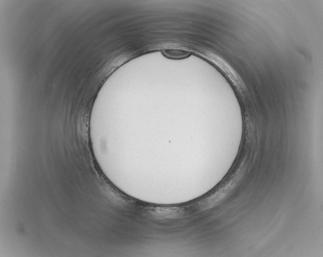 X0000115840857200912111331