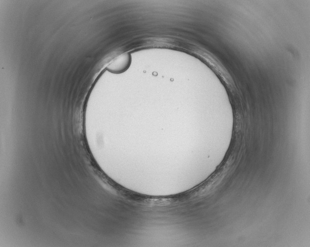 X0000115840858200912111331