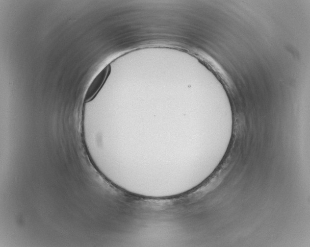 X0000115840860200912111331