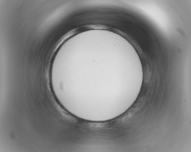 X0000115840861200912111331