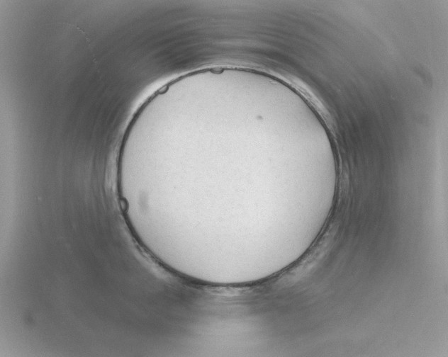 X0000115840862200912111331