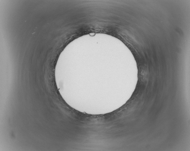 X0000115840865200912111330