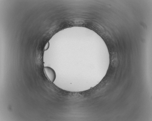 X0000115840866200912111330