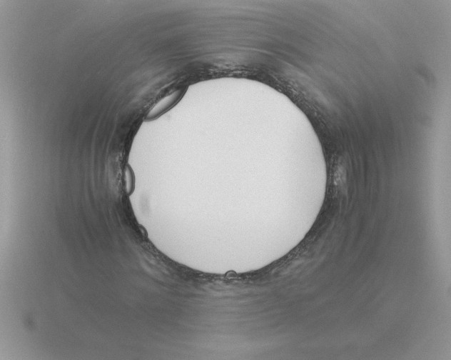 X0000115840868200912111330