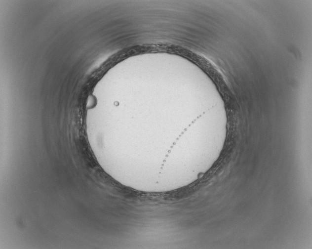 X0000115840871200912111330