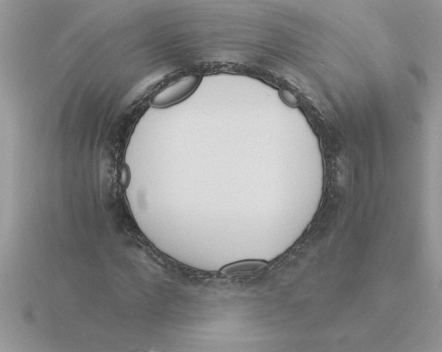 X0000115840872200912111330