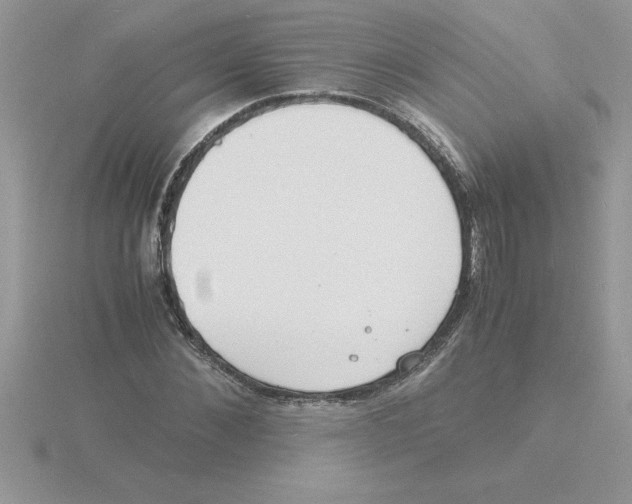 X0000115840876200912111330