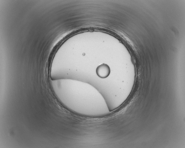 X0000115840877200912111330