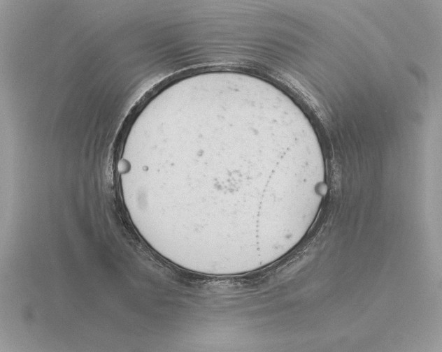 X0000115840883200912111330