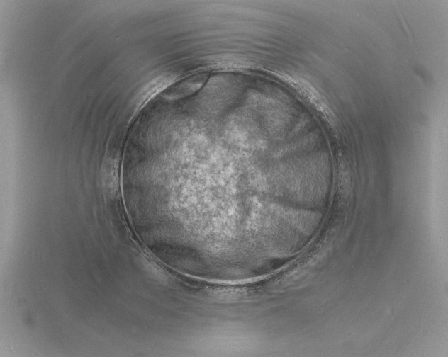 X0000115840889200912111330