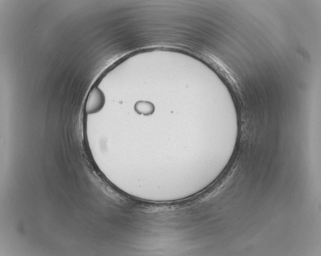 X0000115840892200912111330