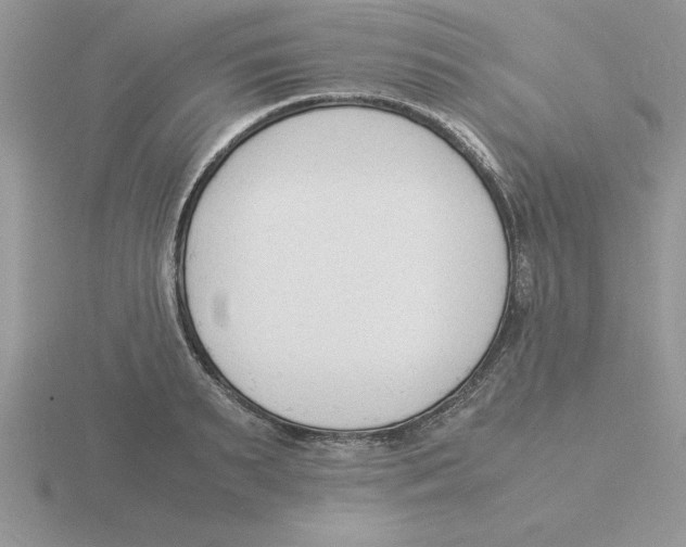 X0000115840895200912111330