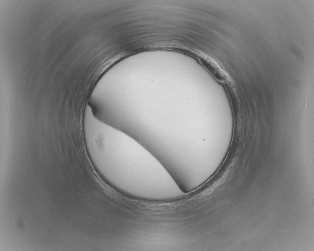 X0000115840897200912111330