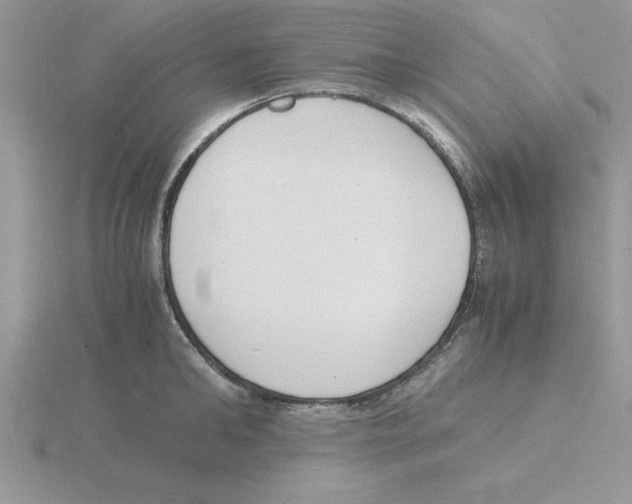 X0000115840902200912111330