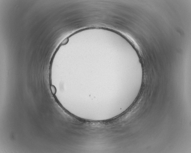 X0000115840903200912111330