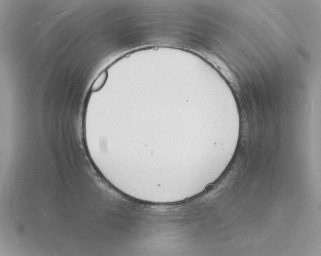 X0000115840904200912111330