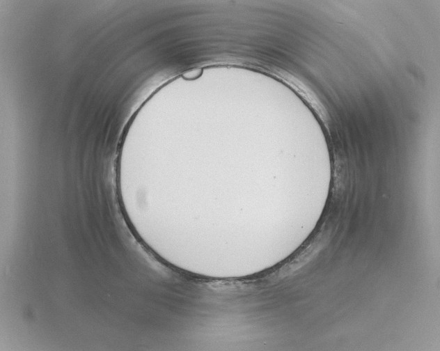 X0000115840906200912111330