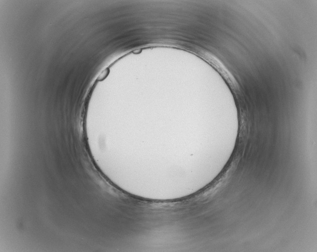 X0000115840908200912111330