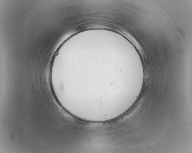 X0000115840909200912111330