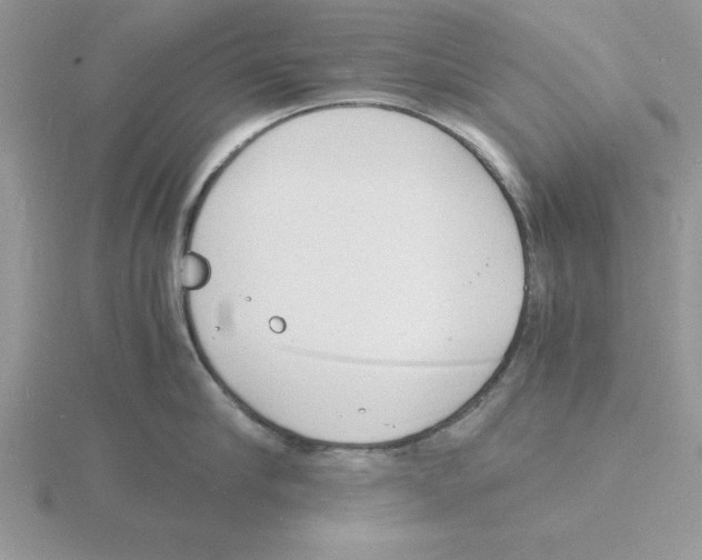 X0000115840910200912111330