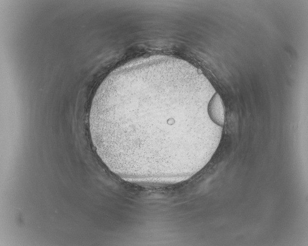 X0000115840913200912111329