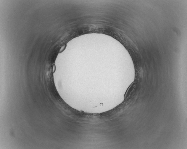 X0000115840914200912111329