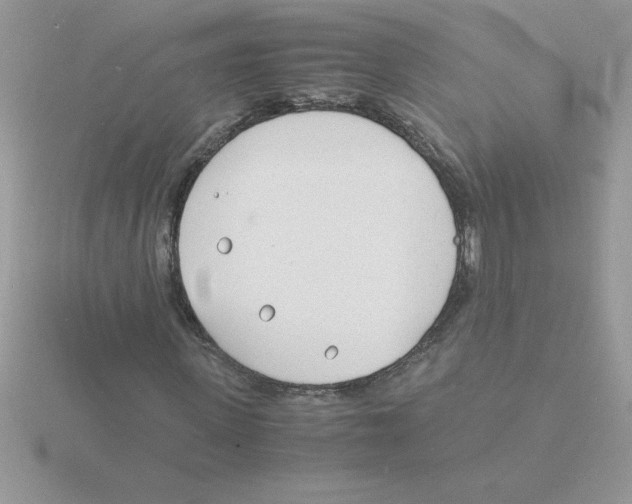 X0000115840915200912111329