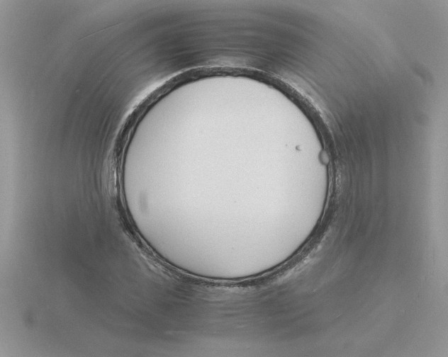 X0000115840925200912111329