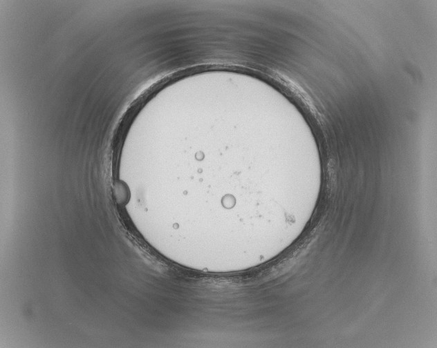 X0000115840931200912111329