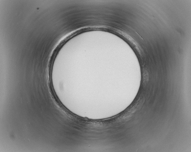 X0000115840935200912111330